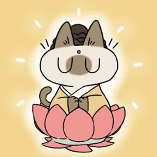 Siamese Cat Azuki @scatas telegram stickers