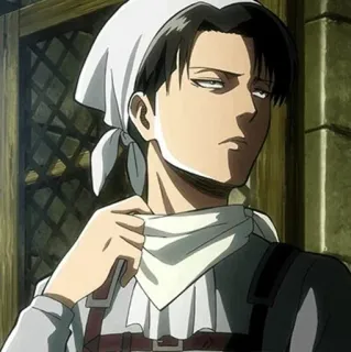 🤓 Levi Ackerman Attack on Titan Anime, Ataque a los Titanes, Levi, Obsesionado con la limpieza, Personaje, Manga telegram sticker