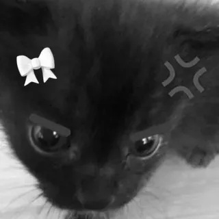 😒 telegram sticker