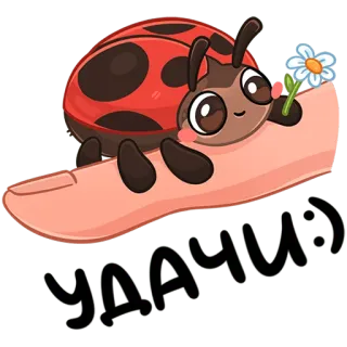 🤞 Удачи! เต่าทอง, ดอกไม้, โชคดี, การ์ตูน, น่ารัก, แมลง whatsapp sticker