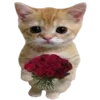 @gobhie 🥬🥹 billuX @echowrites🪼 telegram emojis 🐈