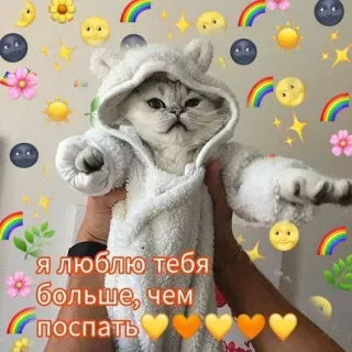 🩹 я люблю тебя больше, чем поспать Katze, niedlich, Tier, Liebe, Regenbogen whatsapp sticker