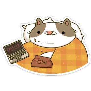🍿 CATFLIX cat, laptop, blanket, pillow, netflix, catflix, cute, lazy whatsapp sticker