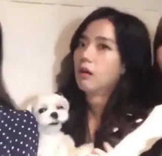 🌧 chó, phụ nữ, người, thú cưng whatsapp sticker