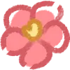 🌺