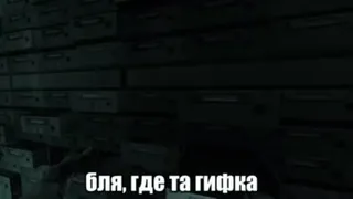 🌟 бля, где та гифка whatsapp sticker