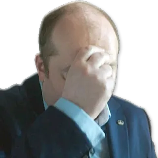 ⛪ Фейспалм, Разочарование, Разочарование, Ошибка, Смущение telegram sticker