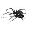 🕷