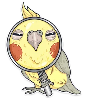 🔍 nimfa, ptak, lupa, detektyw, zwierzę, kreskówka telegram sticker