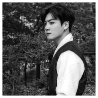 🕷 Jungkook K-pop, musik, penyanyi, korea, BTS, idola telegram sticker