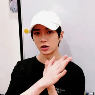 🐻 DLV whatsapp sticker