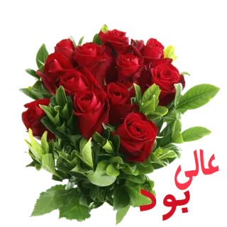 👌 flores, rosas, ramalhete, vermelho, natureza, plantas telegram sticker
