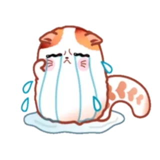 😭 gato, chorando, triste, lágrimas, kawaii, fofo, animal telegram sticker