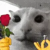 silly cats ➜ @emoji1 telegram emojis 💍