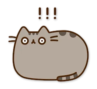 😨 Pusheen !!! Katze, Pusheen, Ausruf, süß, Cartoon, Aufkleber telegram sticker