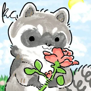 🌺 raccoon, animal, rose, flower, cute telegram sticker