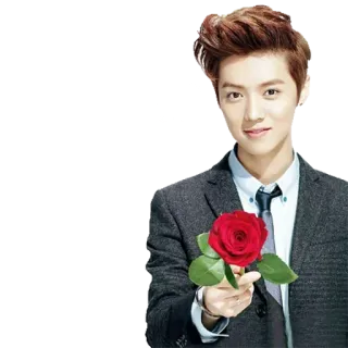🌹 man, rose, suit, flower, person, portrait whatsapp sticker