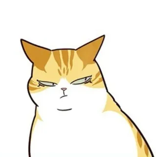 🐈 mèo, động vật, nhãn dán, phim hoạt hình telegram sticker