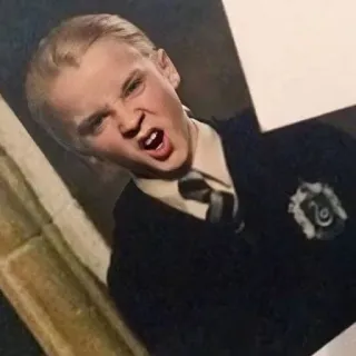 🤬 Draco Malfoy Harry Potter Draco Malfoy, Sonserina, Harry Potter, franzir a testa, bravo, magia telegram sticker