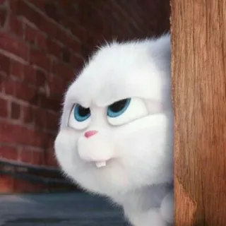 🐾 Snowball The Secret Life of Pets coniglio, cartone animato, animale, animale domestico whatsapp sticker