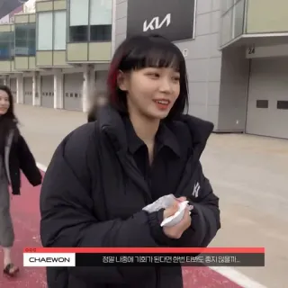 🐯 Chaewon 정말 나중에 기회가 된다면 한번 타보는 것도 좋지 않을까... telegram sticker