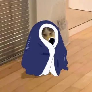 🤳 Katze, Decke, süß, Tier, Haustier telegram sticker