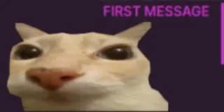✋ FIRST MESSAGE Katze, Nachricht telegram sticker