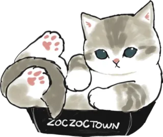 📦 ZOCZOCTOWN cat, kitten, cute, pet, animal telegram sticker