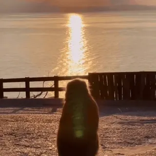 ⏰ sea, sun, sunset, nature, water, sky, landscape whatsapp sticker