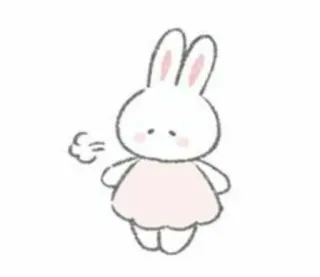 🤍 conejo, conejo, lindo, kawaii, animal, dibujos animados telegram sticker
