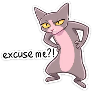 ❓ excuse me?! cat, sphynx, attitude, question, excuse me, sarcastic, funny telegram sticker