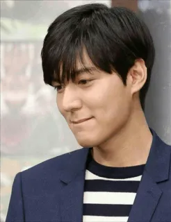 😁 Lee Min-ho attore, coreano, celebrità, uomo, ritratto telegram sticker