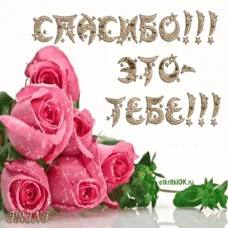🌷 СПАСИБО!!! ЭТО - ТЕБЕ!!! whatsapp sticker