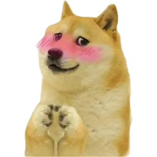 😚 Doge doge, meme, lindo, perro, shiba inu telegram sticker