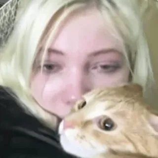 🐱 mujer, gato, mascota, rubia, selfie, animal, lindo, retrato whatsapp sticker