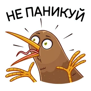 🙅‍♂️ НЕ ПАНИКУЙ Киви, Птица, Паника, Смешной, Животное, Мультфильм telegram sticker