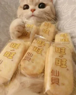😻 旺旺 仙貝 gato, comida, lanche, snack asiático, bolacha de arroz, doce, guloseima telegram sticker