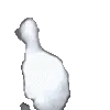 🏃♀️