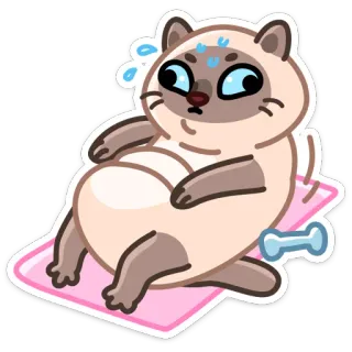 💪 кот, упражнения, пот, фитнес, милый, мультфильм, гантель telegram sticker