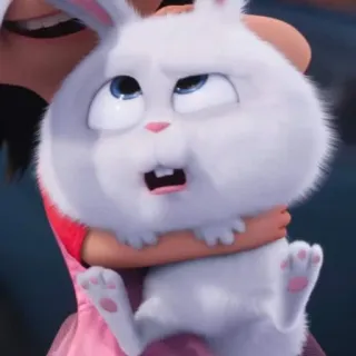 🐰 Snowball The Secret Life of Pets coniglio, coniglietto, animale domestico, animale, bianco, cartone animato, film whatsapp sticker