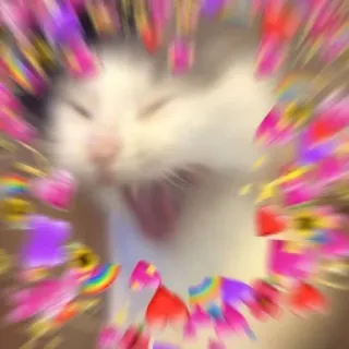 🐱 kucing, cinta, hati, pelangi, anak kucing, imut, meme whatsapp sticker