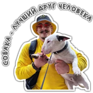 🐶 СОБАКА - ЛУЧШИЙ ДРУГ ЧЕЛОВЕКА chien, homme, bull terrier, animal, ami, animal de compagnie telegram sticker