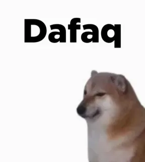 🎭 Dafaq 밈, 도지, 웃긴, WTF telegram sticker