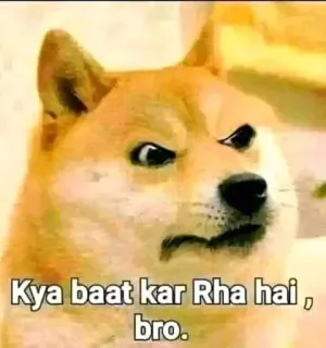 🤨 Doge Internet meme Kya baat kar Rha hai, bro. doge, meme, confused, shiba inu, hindi, dog, reaction telegram sticker
