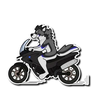 🏍 serigala, motor, kendaraan, hewan, stiker whatsapp sticker