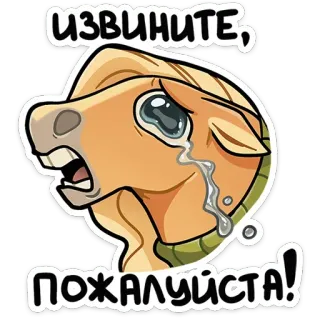😭 ИЗВИНИТЕ, ПОЖАЛУЙСТА! koń, płacz, przeprosiny, przepraszam, emocjonalny, łzy telegram sticker
