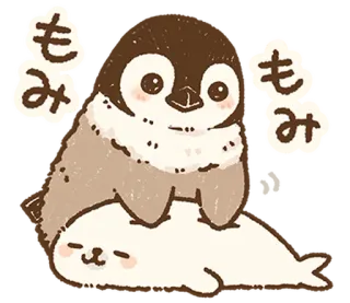 🐧 もみ ペンギン, アザラシ, 動物, 可愛い, カワイイ whatsapp sticker