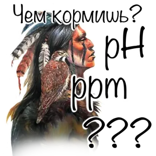 🧐 Чем кормишь?
I pH
ppm
??? native american, falcon, russian, question, feeding telegram sticker