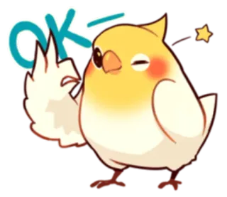 👌 OK นก, โอเค, น่ารัก, อนุมัติ, นกแก้ว, อิโมจิ, สติกเกอร์ telegram sticker