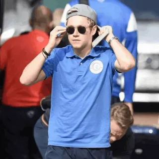 ✨ Niall Horan ผู้ชาย, แว่นกันแดด, หมวก, เสื้อโปโล, คนดัง telegram sticker